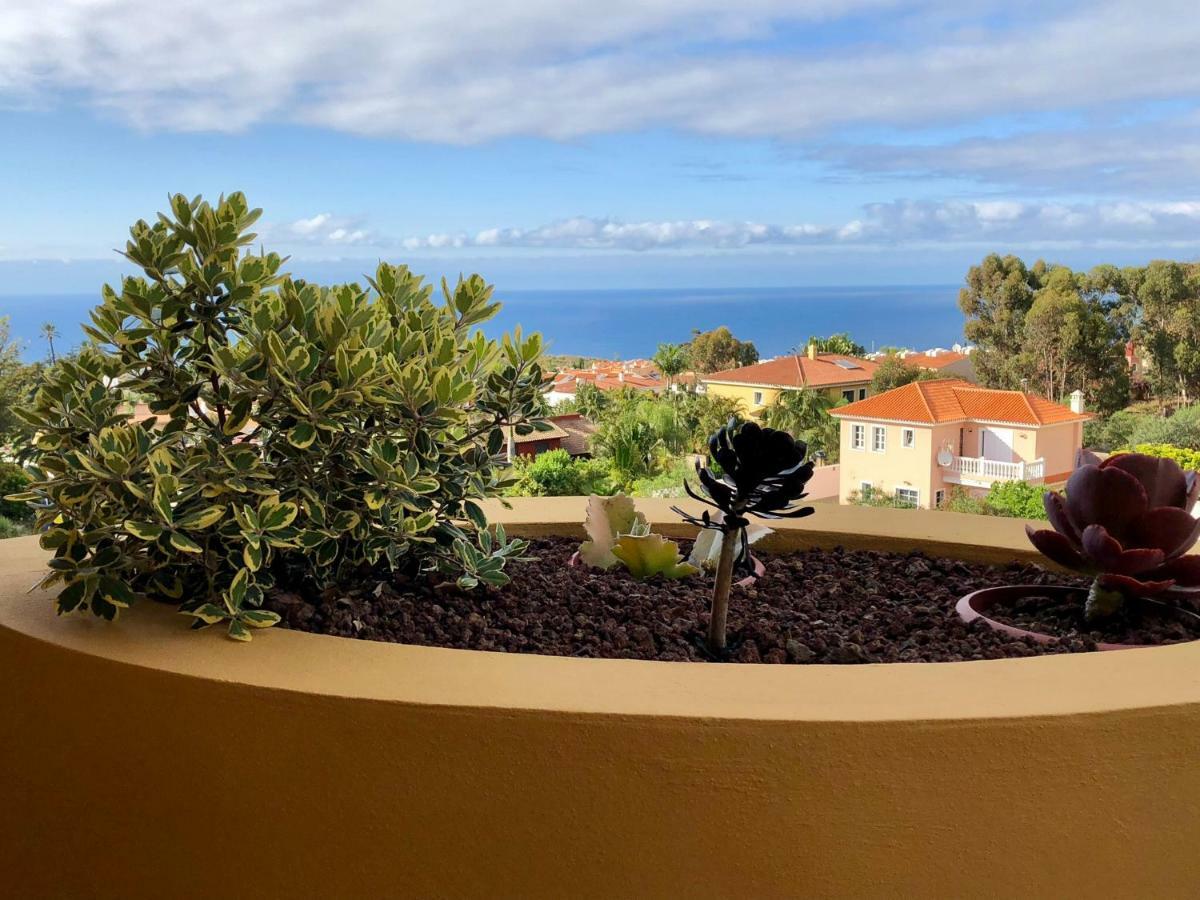 Terraza Vista Oceano La Quinta Lägenhet Santa Úrsula Exteriör bild